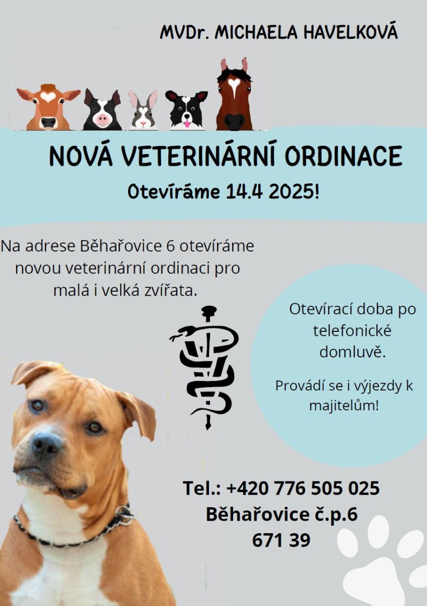 2025-mvdr-letak.jpg
